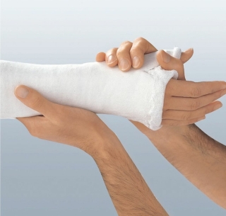 Platrix Longet 25X12Cm - (1 St) - PZN 01939133