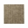 Askina Calgitrol Ag+ 10X10 - (10 St) - PZN 18707349