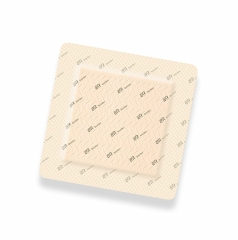 Suprasorb P Sen.F Bo 15X15 - (10 St) - PZN 19445302