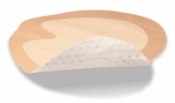 Eclypse Adherent Sa22X23Cm - (10 St) - PZN 08840449