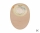 Dansac Nltre1 G Pl Md Sf45 - (30 St) - PZN 19203993